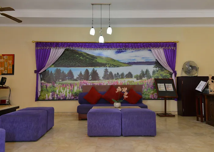 Lavender & Villa *